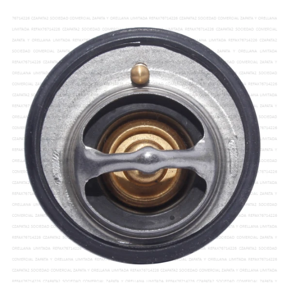 TERMOSTATO 82°C 51MM EXCENTRICO JAC J2 / S2 - ECHLIN - Termostatos | ClickRepuestos